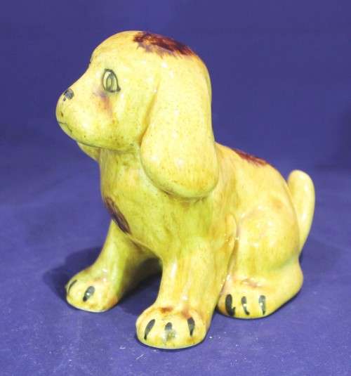 Brown puppy