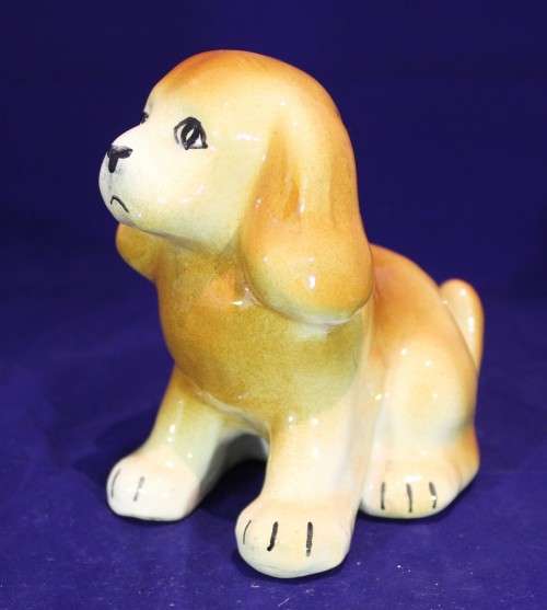 Rust brown puppy - Beautiful!
