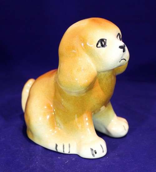 Rust brown puppy - Beautiful!