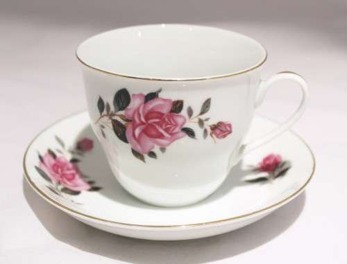 Chinese porcelain - Red rose - Duo - Beautiful!