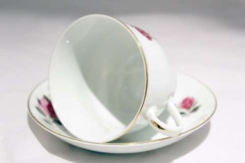 Chinese porcelain - Red rose - Duo - Beautiful!