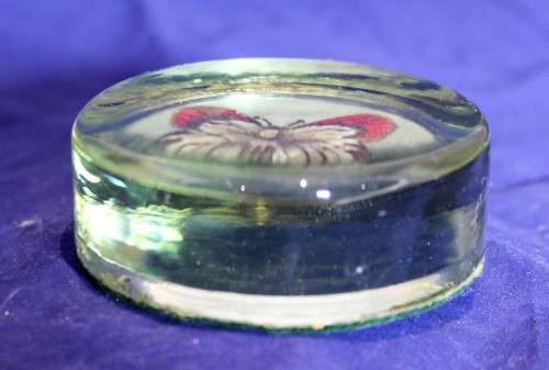 Glass paperweight with a butterfly