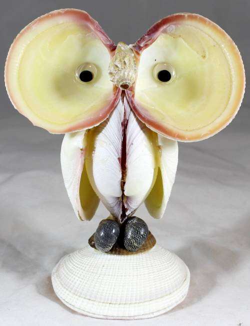 Shell Owl - Eye-catching Figurine