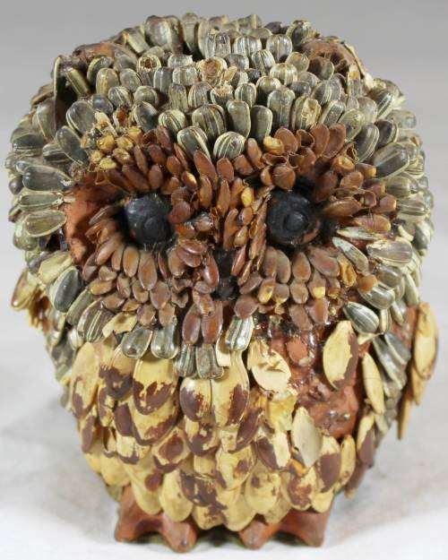 Brown seed owl
