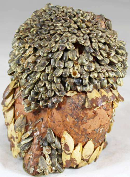 Brown seed owl