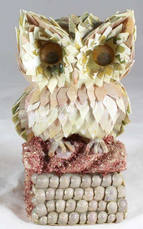 Shell owl