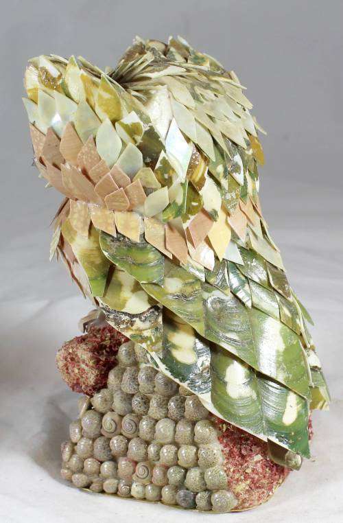 Shell owl