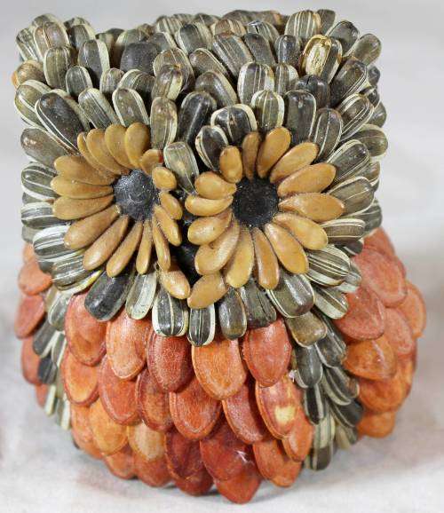 Owl made with seeds