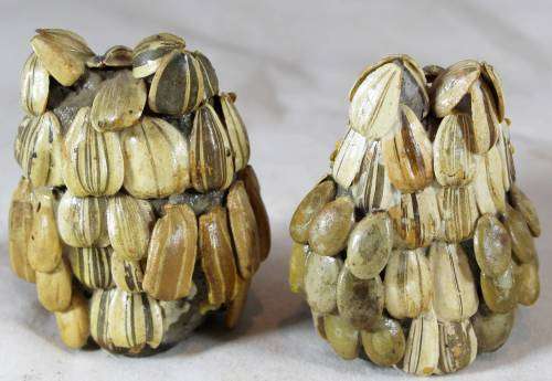 Small pair of seed owls