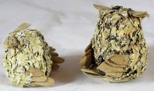 Pair of Owls - Wood and Paper Mache
