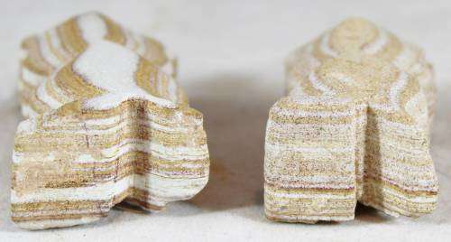 Pair of miniature sandstone owls