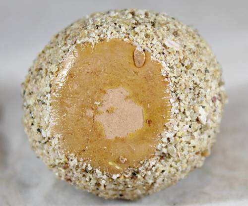 Owl Hatch-ling - Stone Finish