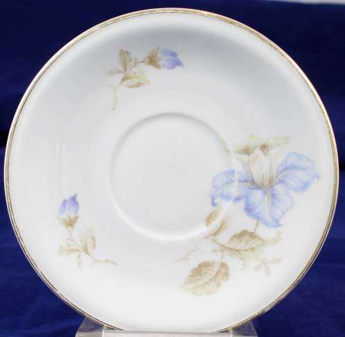 Hutshenreuther - German saucer