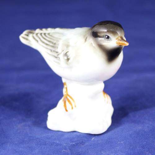 Bird on a rock - bone China