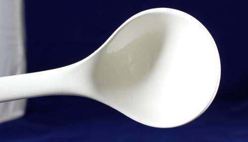 Imperial Imari pot with ladle