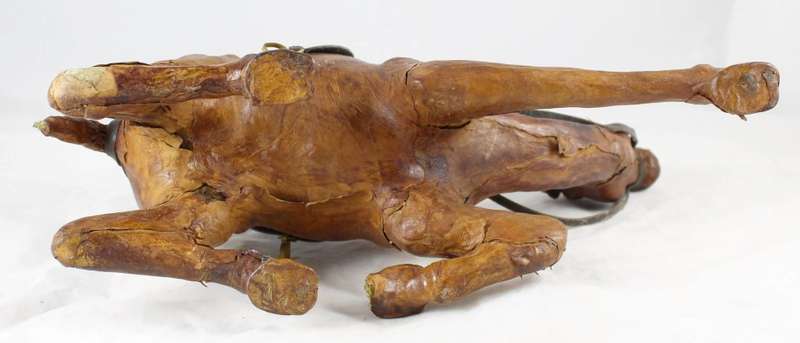 Leather camel
