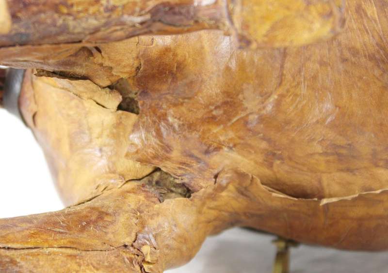 Leather camel