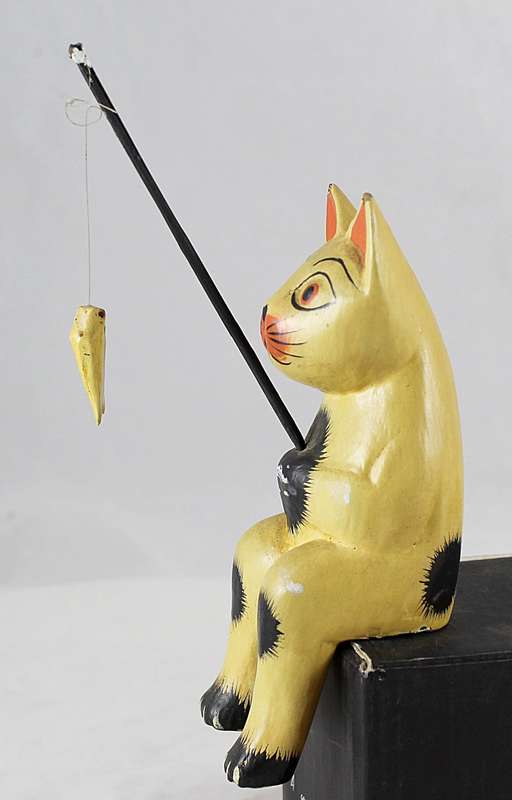 Brown cat fishing