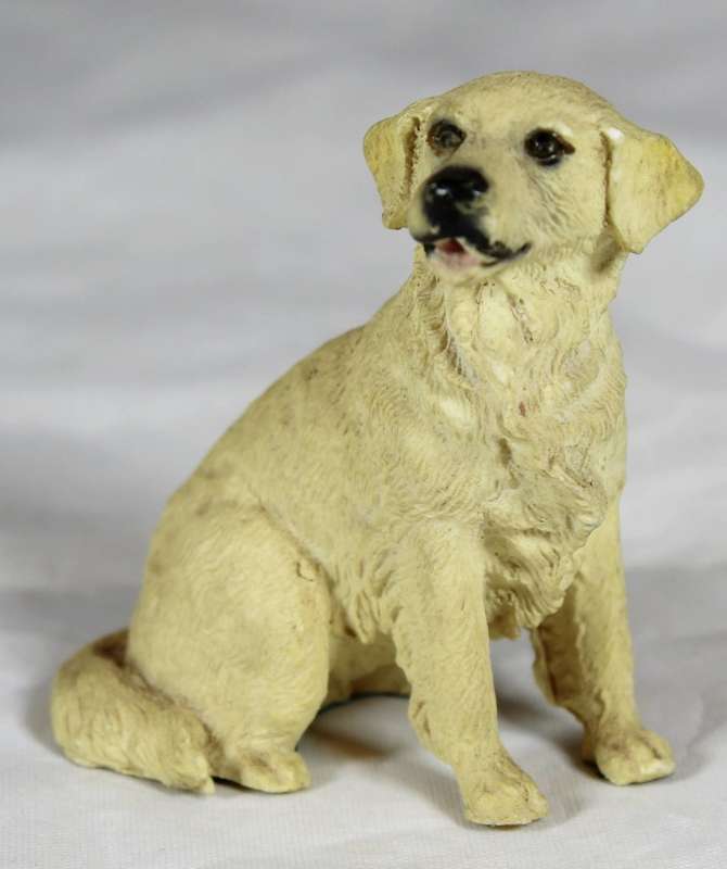 Seated rescued dog