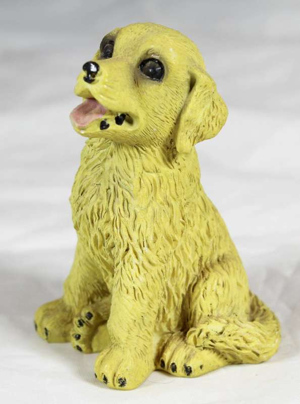 Happy seated dog