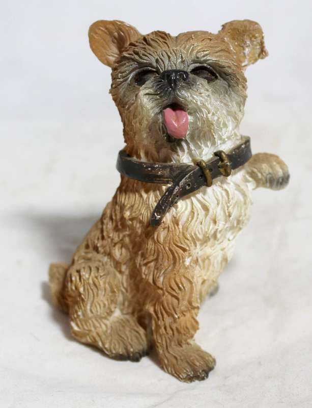 Dog offering its paw