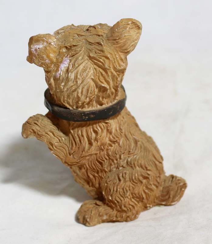 Dog offering its paw