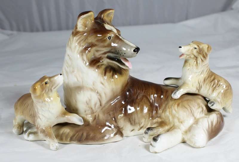 Large collie with playing puppies