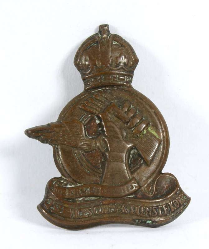 Suid Afrika dienst korps badge