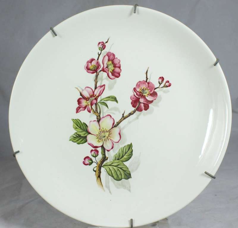 Myott & Son - `Briar Rose` - Wall Plate - Gorgeous!