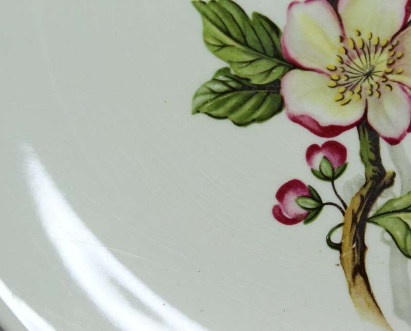 Myott & Son - `Briar Rose` - Wall Plate - Gorgeous!