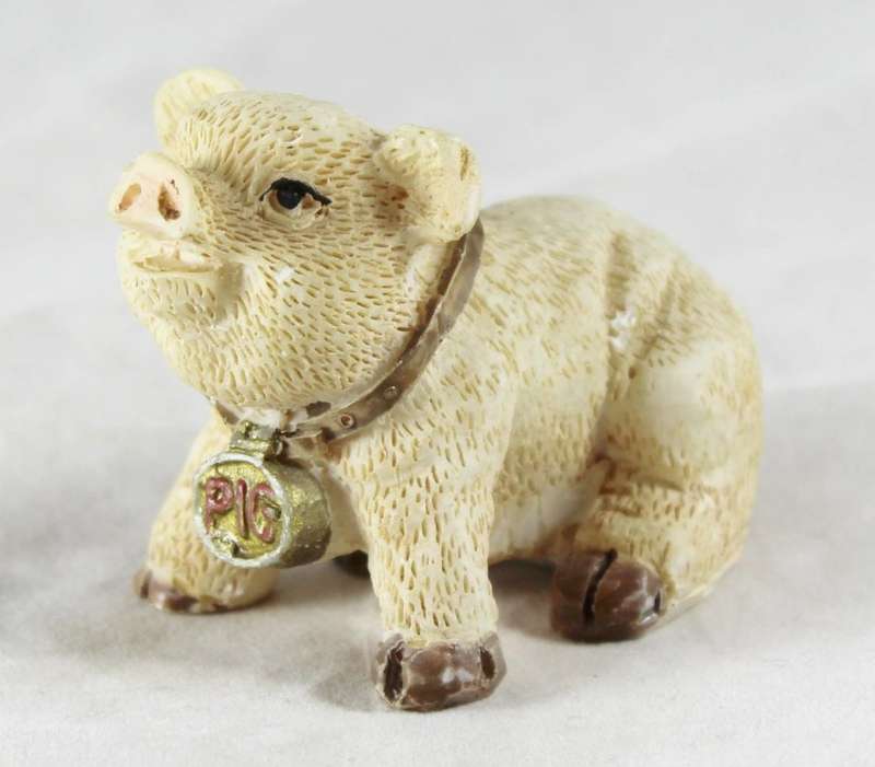 Molded miniature pig