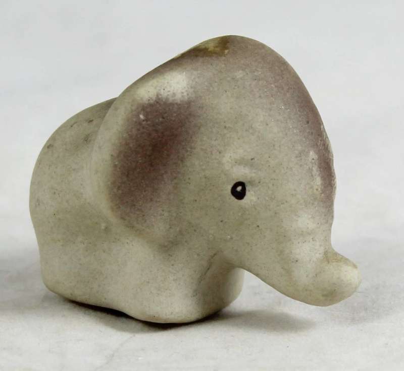 Small baby elephant