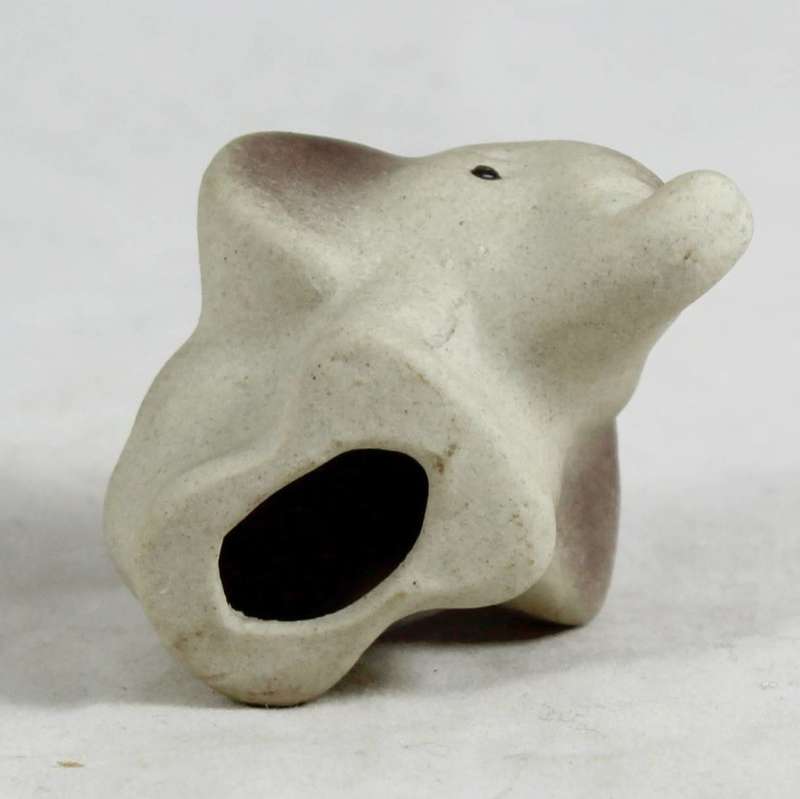 Small baby elephant