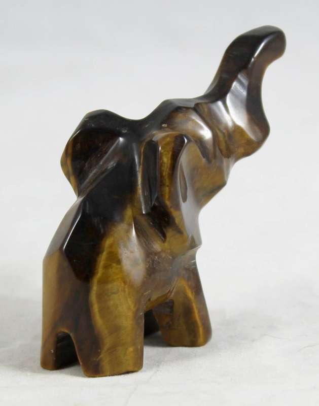 Tiger eye elephant