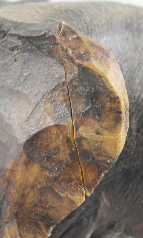 Carved wooden elephant