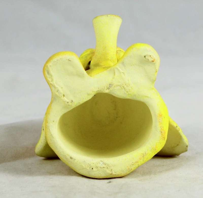 Funky yellow elephant