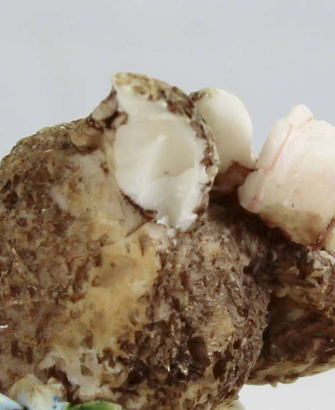 Baby In an egg