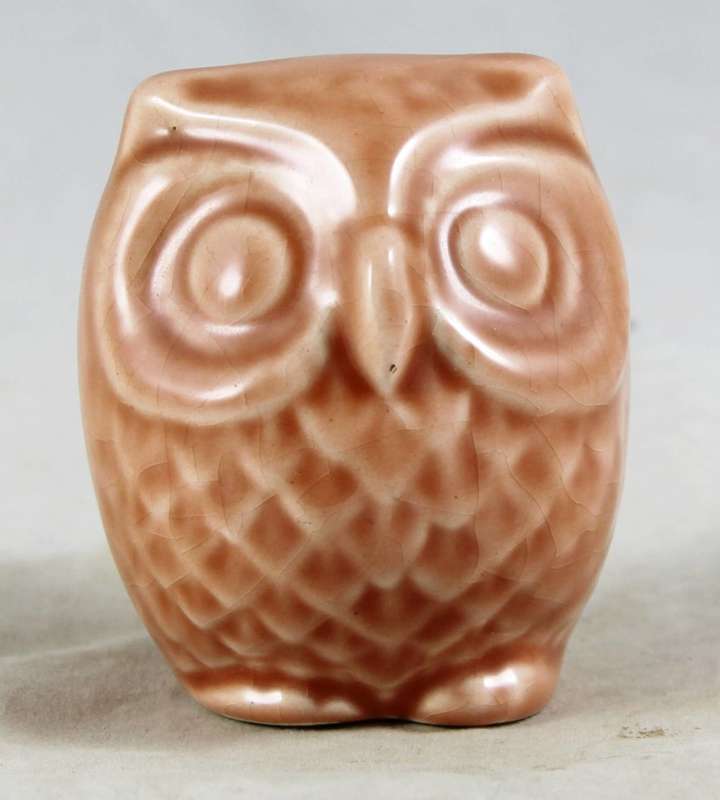 Small Owl - Gorgeous!