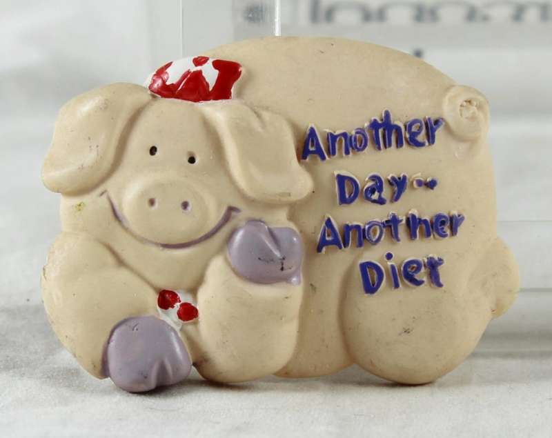 Pig magnet - another day another diet