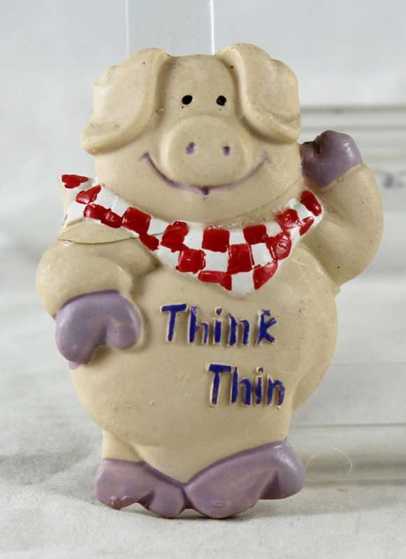 Pig magnet - think thin