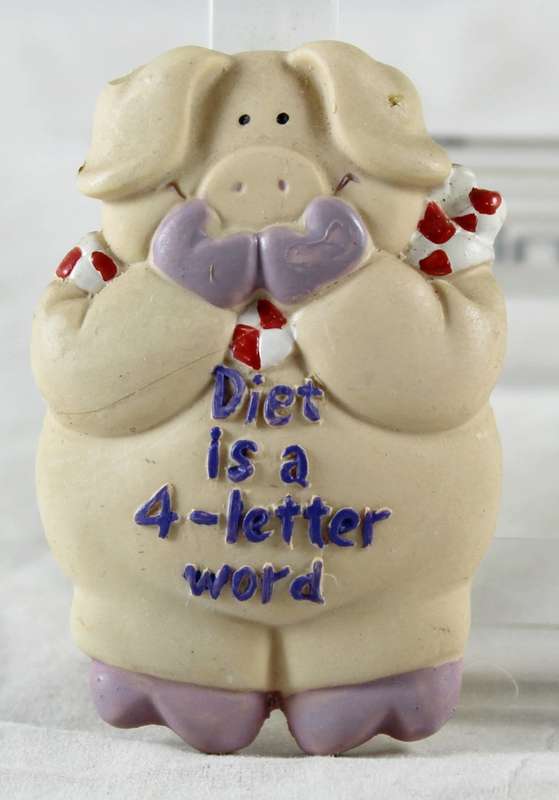 Pig Magnet - Diet is a 4-letter word