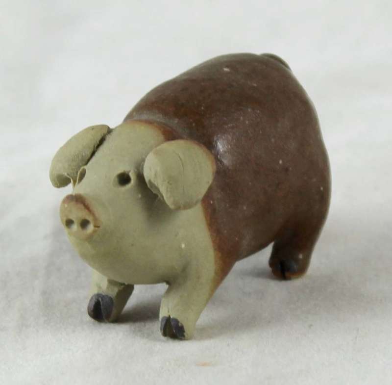 Miniature pig - half brown