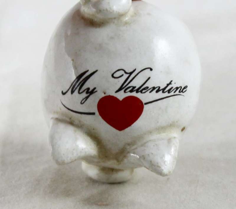 Small white pig - my valentine