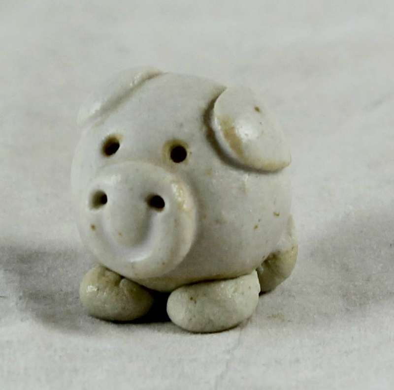 Miniature white pig