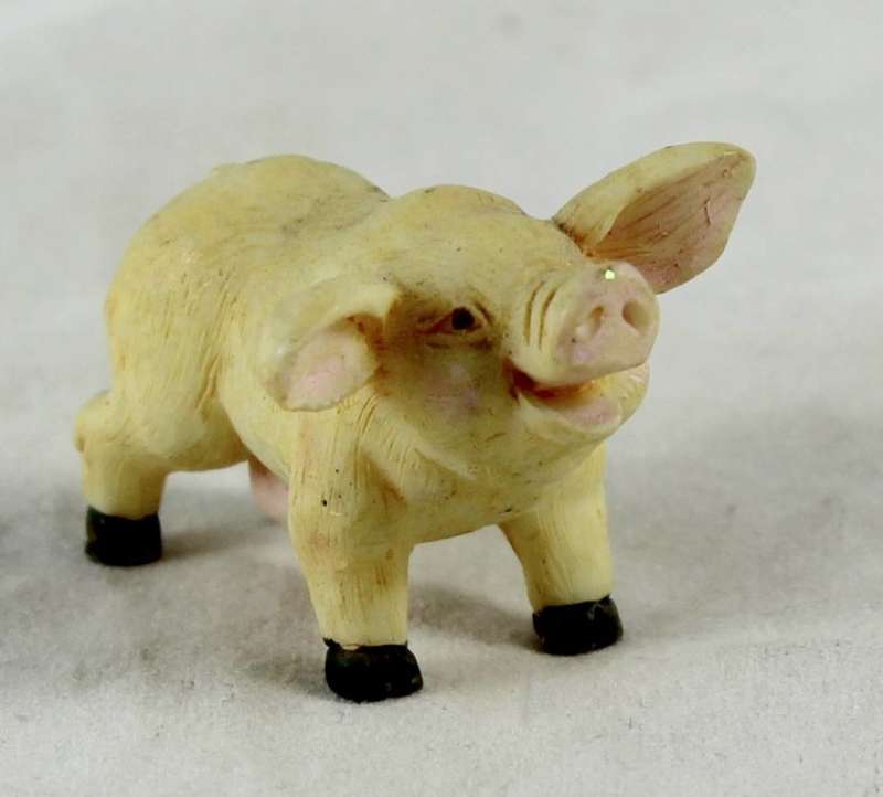 Miniature smiling pig