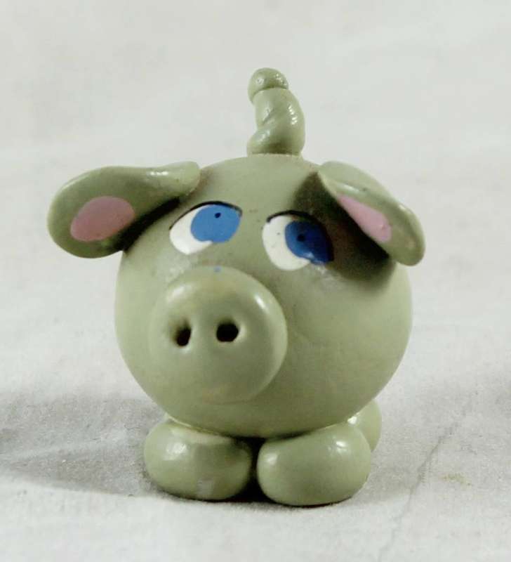 Miniature pig with blue eyes