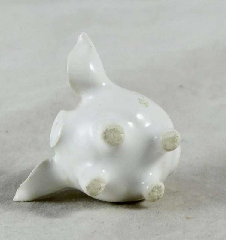 Miniature white pig with big ears