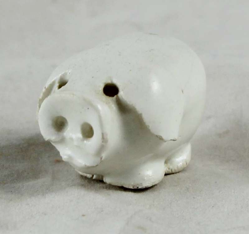 Miniature white pig