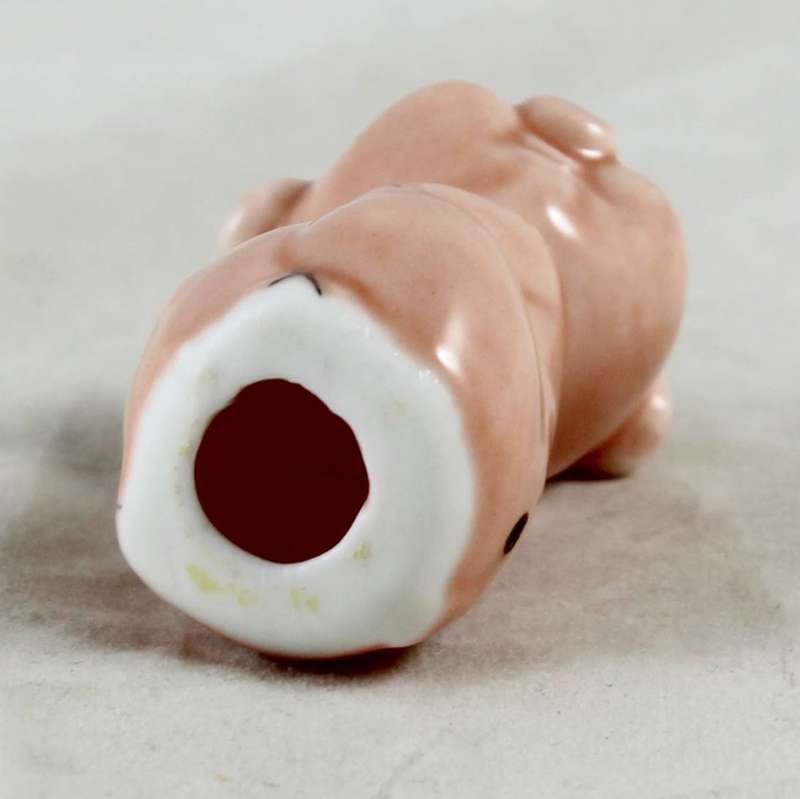 Small Smiling Pig - Gorgeous!