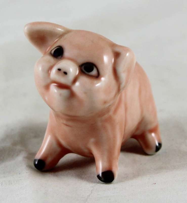 Little Smiling Pig - Gorgeous!